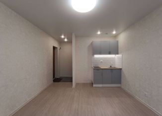 Продажа квартиры студии, 18 м2, Пермь, улица Чайковского, 20, Индустриальный район