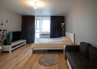 Продажа квартиры студии, 24.9 м2, Мурино, Новая улица, 11к3, ЖК Новое Мурино