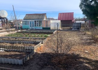 Продам дом, 14 м2, СНТ Аэрофлотовец, СНТ Аэрофлотовец, 298