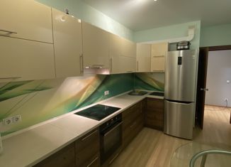 Сдается в аренду 1-комнатная квартира, 44 м2, Екатеринбург, улица Мира, 41, улица Мира