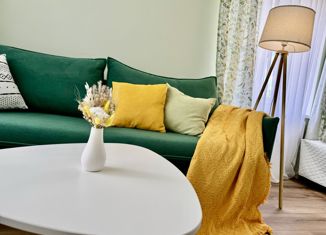 Аренда однокомнатной квартиры, 33 м2, Ставрополь, улица Семашко, 14/1