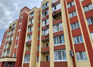 Продам двухкомнатную квартиру, 45.56 м2, село Михайловка, Сливовая улица, 12