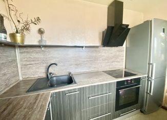 Продаю однокомнатную квартиру, 26.8 м2, Елизово, Красноярская улица, 7