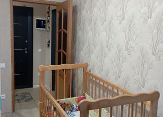 Продажа 2-комнатной квартиры, 43.5 м2, Нижний Новгород, улица Красных Зорь, 17, микрорайон Красные Зори