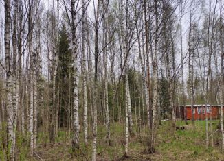Продам земельный участок, 12 сот., СНТ Чернобыль, СНТ Чернобыль, 25