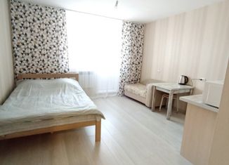 Продаю квартиру студию, 27 м2, Сосновоборск, проспект Мира, 13