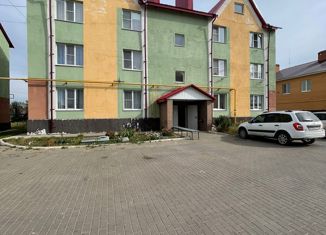 2-комнатная квартира на продажу, 47 м2, село Боринское, улица Дзержинского, 66А