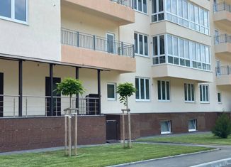 Продажа квартиры студии, 26.1 м2, село Краевско-Армянское, Измайловская улица, 20А