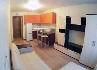 Продажа однокомнатной квартиры, 25 м2, Сочи, Виноградная улица, 89/2, микрорайон Новый Сочи