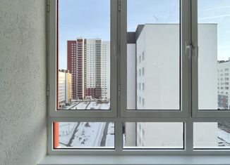Сдам в аренду квартиру студию, 23 м2, Нижегородская область, Новокузнечихинская улица, 6