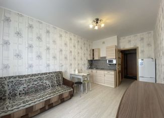 Квартира на продажу студия, 25 м2, посёлок Шушары, Вилеровский переулок, 6, ЖК Юнион