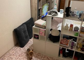 Продается однокомнатная квартира, 32.1 м2, Томск, переулок Богдана Хмельницкого, 5/1, Кировский район