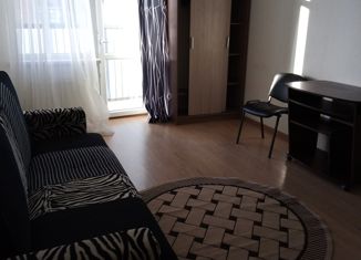 Сдаю квартиру студию, 32 м2, Санкт-Петербург, улица Катерников, 7, улица Катерников