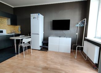 Квартира на продажу студия, 27.6 м2, Мурино, ЖК Тридевяткино Царство, улица Шоссе в Лаврики, 85