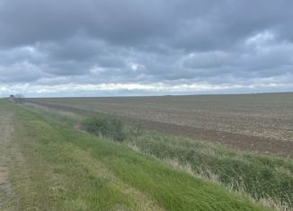 Продажа земельного участка, 6.03 сот., село Челядиново, Школьная улица