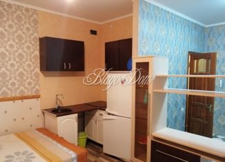 Продам однокомнатную квартиру, 23 м2, Строитель, Октябрьская улица, 13А