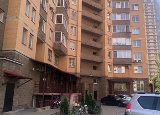 Продается 1-комнатная квартира, 46.4 м2, Санкт-Петербург, проспект Луначарского, 54, муниципальный округ Сергиевское
