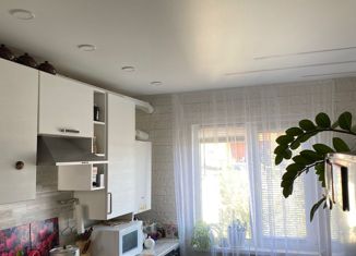 Продажа 2-ком. квартиры, 44.5 м2, село Бессоновка, улица Кудряшова, 151