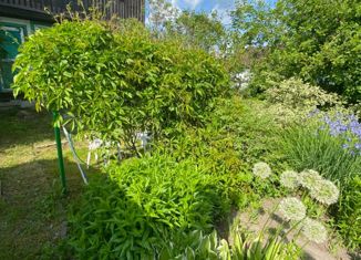 Продам дом, 28 м2, Осинники, Цветочная улица, 2