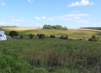 Продам земельный участок, 34 сот., Татарстан, улица Ленина, 29