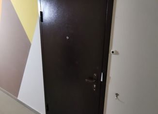 Продается квартира студия, 29.65 м2, село Михайловка, Сливовая улица, 2/1