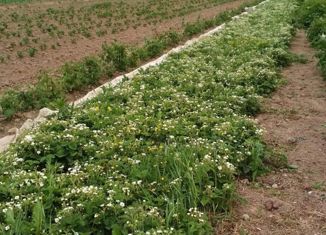 Продажа участка, 7.5 сот., деревня Киселево, Луговая улица