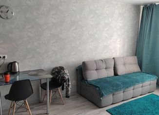 Двухкомнатная квартира на продажу, 36 м2, Барнаул, Северный Власихинский проезд, 104, ЖК Балтийская крепость