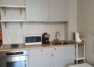 Продается квартира студия, 27 м2, Новосибирск, улица Ясный Берег, 10, улица Ясный Берег