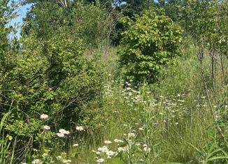 Продается участок, 10 сот., Артём, садовое некоммерческое товарищество Нарцисс, 112