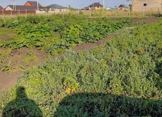 Продается участок, 10 сот., село Новый Краснояр, Соборная улица, 15