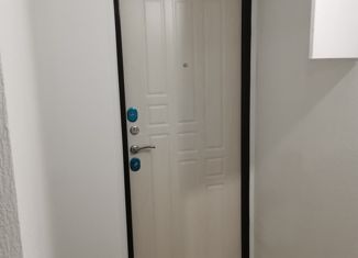 Продается 2-ком. квартира, 45.27 м2, Санкт-Петербург, Северный проспект, 63к5, Северный проспект