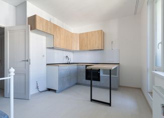 Квартира на продажу студия, 25.73 м2, Санкт-Петербург, Планерная улица, 93, ЖК Нью Тайм