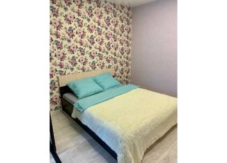 Продаю квартиру студию, 25 м2, Санкт-Петербург, Виленский переулок, 5, Виленский переулок