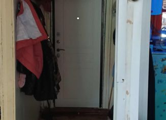 2-ком. квартира на продажу, 41 м2, деревня Рябины, Молодёжная улица, 9