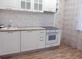 Продажа 1-ком. квартиры, 43.6 м2, Воронеж, переулок Автоматчиков, 39, ЖК Скандинавия