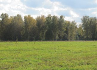 Продам участок, 320 сот., деревня Дубачино