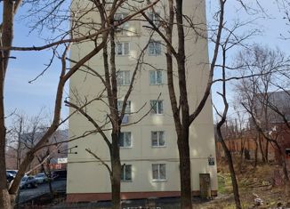 Продается 1-комнатная квартира, 35.1 м2, Приморский край, проспект Красного Знамени, 109