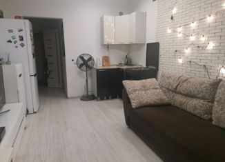 Продается однокомнатная квартира, 23.5 м2, Новосибирск, улица Костычева, 74/1, улица Костычева