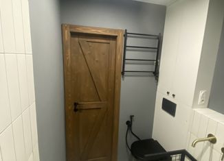 Продажа однокомнатной квартиры, 30 м2, Новосибирск, улица Ватутина, 18, метро Студенческая