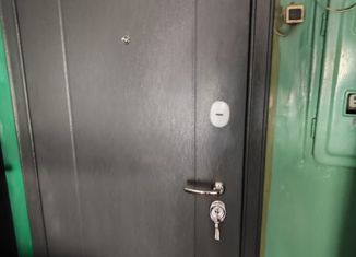 Продаю однокомнатную квартиру, 32 м2, Великие Луки, Вагонная улица, 3