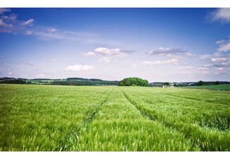 Земельный участок на продажу, 10000 сот., Волгоградская область