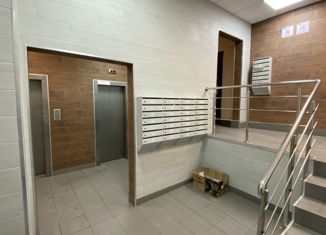 Однокомнатная квартира на продажу, 39.2 м2, Санкт-Петербург, Парашютная улица, 58, ЖК Каменка