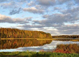 Продается участок, 374 сот., деревня Дубровка, Вторая улица