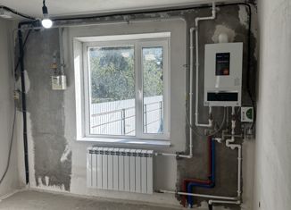 Продажа дома, 100 м2, деревня Плоское, Центральная улица, 1