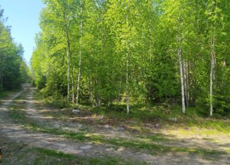 Продаю участок, 12.5 сот., СНТ Ветеран-1