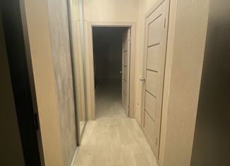 Продаю квартиру студию, 29 м2, село Зубово, улица Бориса Перина, 6