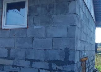 Продаю дом, 20 м2, деревня Пальники, Советская улица, 28