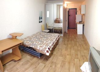 Квартира в аренду студия, 18 м2, Владивосток, улица Чапаева, 12