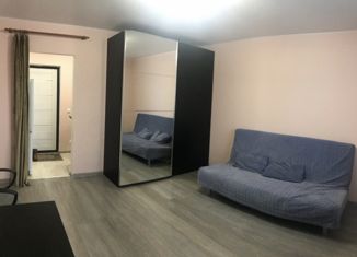 Продам квартиру студию, 24.5 м2, Домодедово, Южнодомодедовская улица, 17