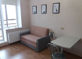 Квартира на продажу студия, 22.93 м2, Санкт-Петербург, Среднерогатская улица, 20, метро Звёздная